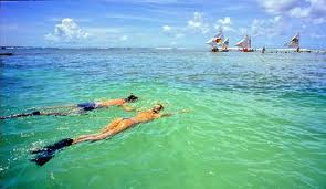 PAQUETES TURISTICOS PORTO DE GALINHAS - AVANCE ENERO - BRASIL